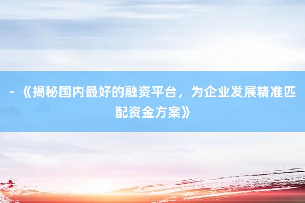 - 《揭秘国内最好的融资平台，为企业发展精准匹配资金方案》