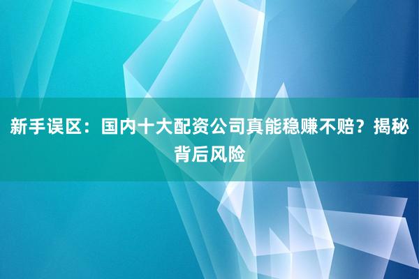 新手误区：国内十大配资公司真能稳赚不赔？揭秘背后风险