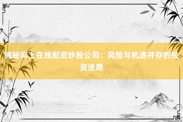 揭秘网上在线配资炒股公司：风险与机遇并存的投资迷局